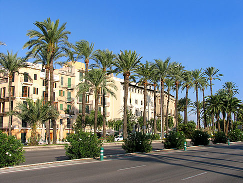 Auf den Straßen von Palma - Mallorca (Palma de Maljorka)